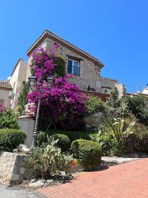 Strelizia - New Central Old Antibes For 4 Ac Exterior foto