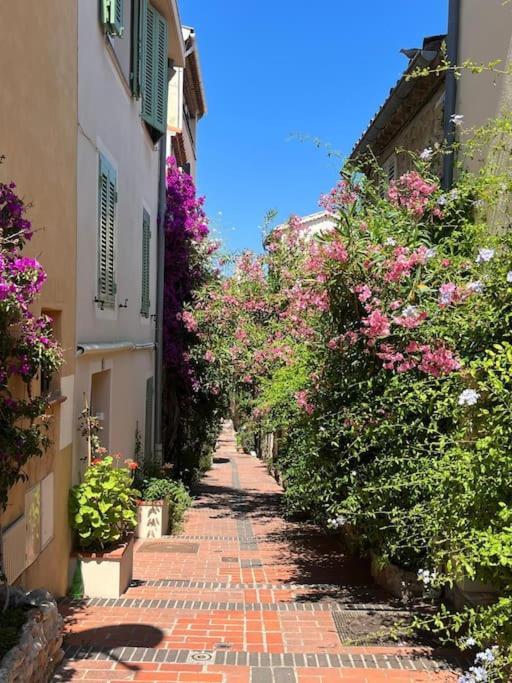 Strelizia - New Central Old Antibes For 4 Ac Exterior foto